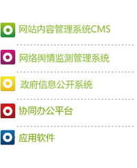 网络软件开发 中天亿信与网络品牌专家的融合之道