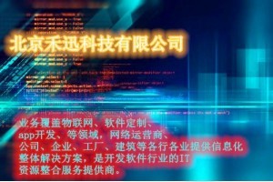 拓展定制软件开发——禾迅科技助力企业数字化转型