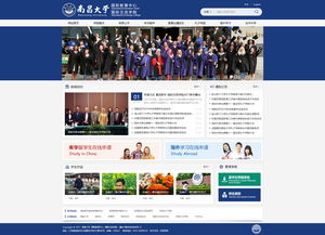 网络营销与网络软件开发 数字化时代的双轮驱动