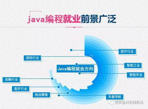学互联网软件开发，做新时代自由高薪一族