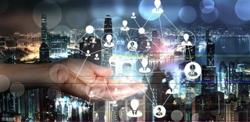 网络软件开发中测试开发工程师的职场核心竞争力